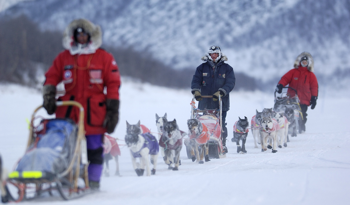 Deltakere i Finnmarksløpet, Alta. 