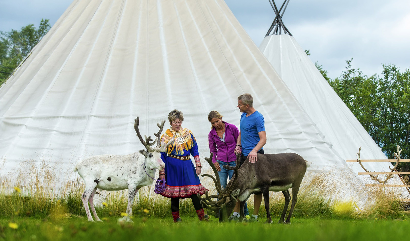 Turister besøker samer med lavvo og reinsdyr i Alta, Finnmark. 