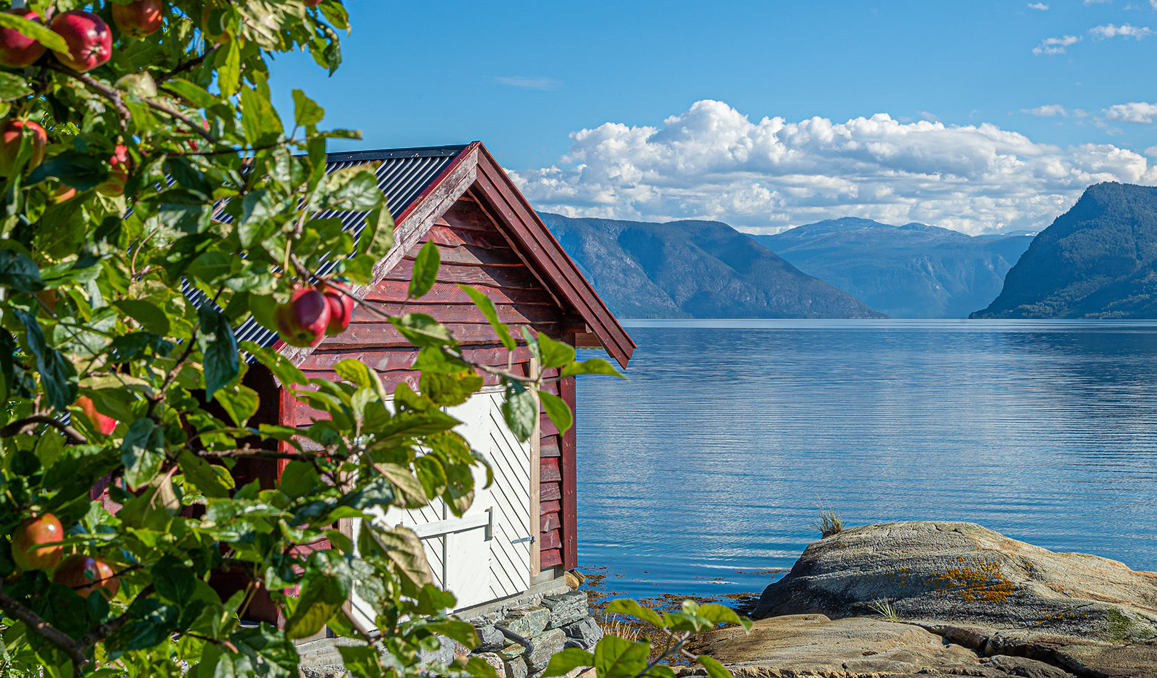Autumn by the Fjord