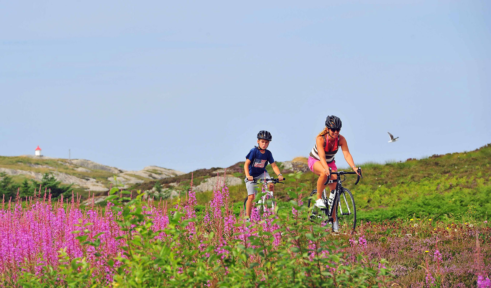 Cyclists among flowers and hills. 