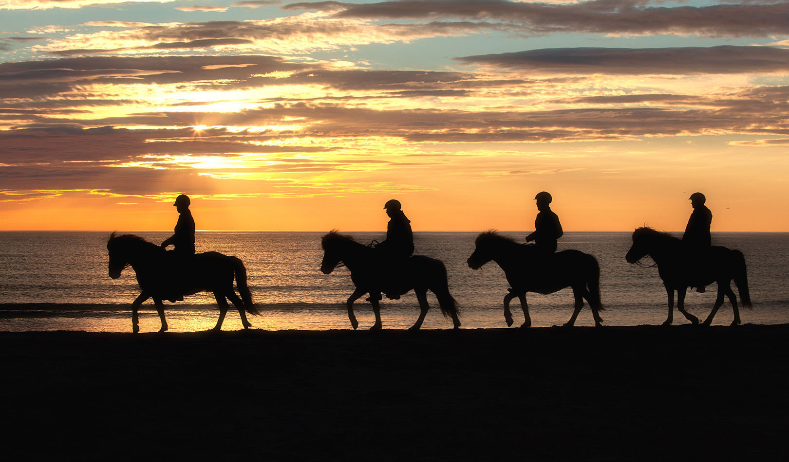 Ryttere på strand i silhuett i solnedgang. People riding along the beach in the sunset. 