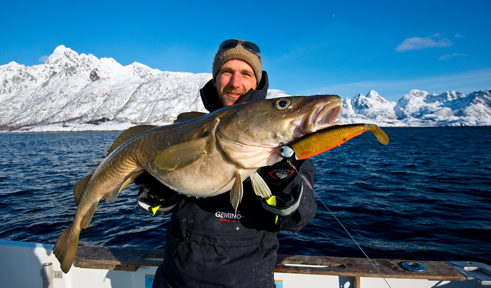 Mann holder en torsk på vinterfiske i Austnesfjorden, Lofoten. Man winter fishing in Austnesfjorden, Lofoten.