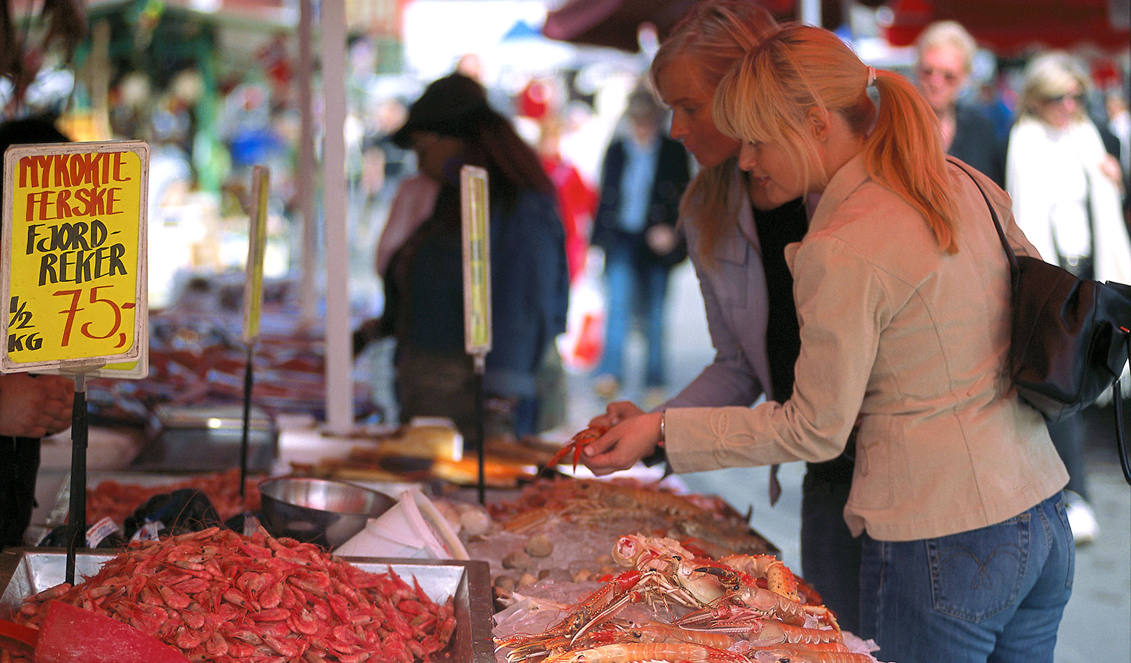 Shrimps and Crayfisk at Bergen Fish Market