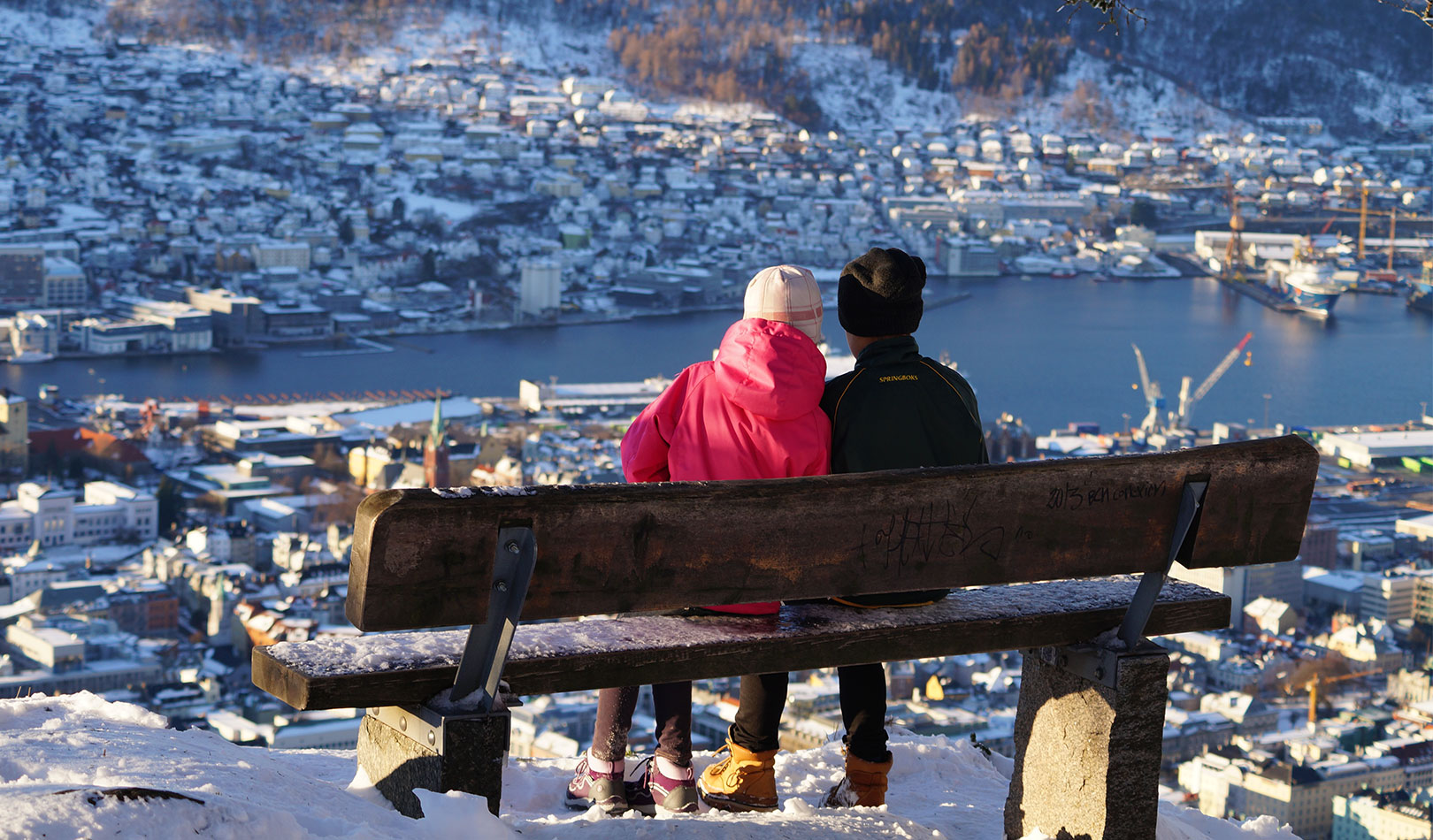 Норвегия Рождество с метлой