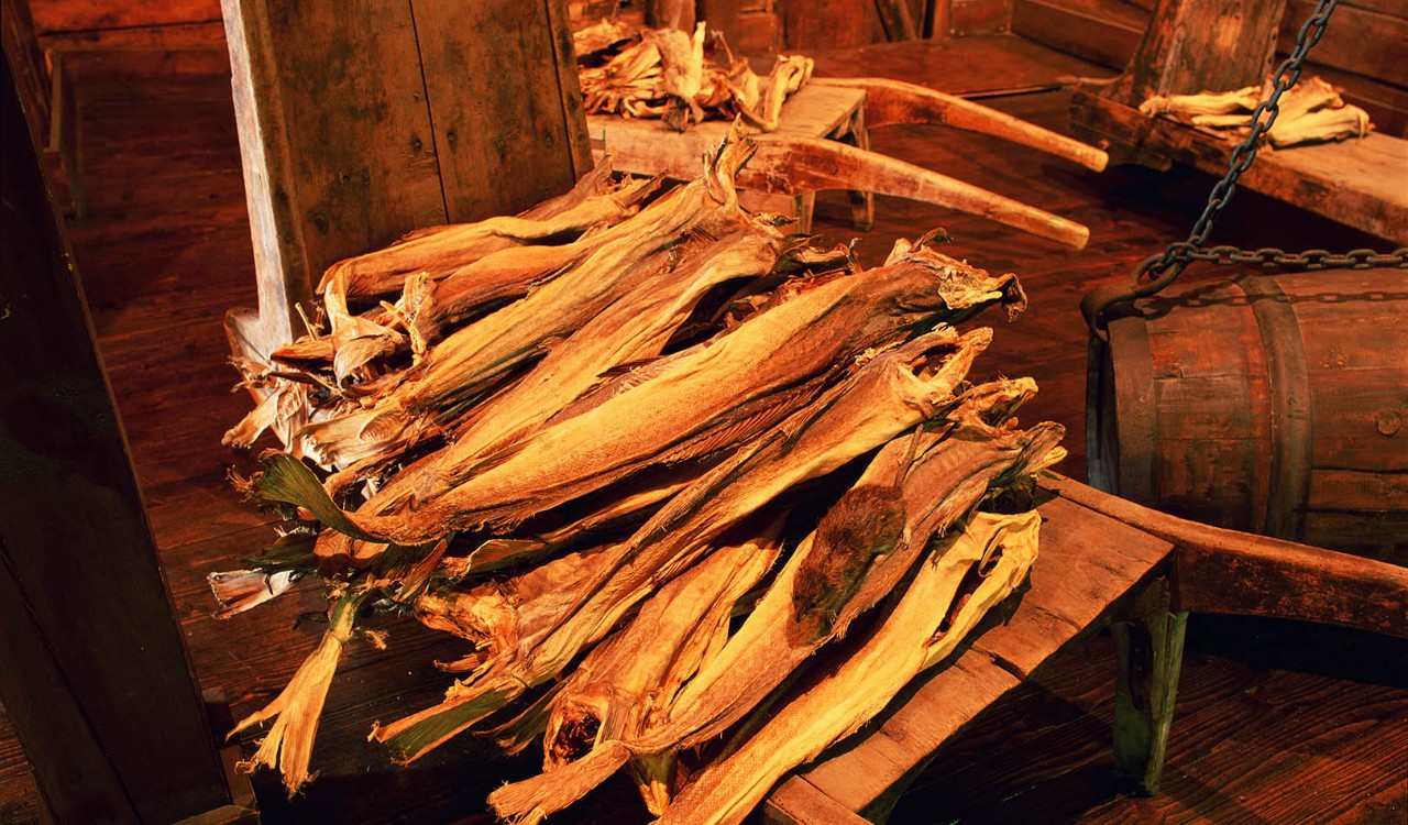 Tørrfisk på Det Hanseatiske Museet, Bergen. Stockfish at a museum, Bergen.