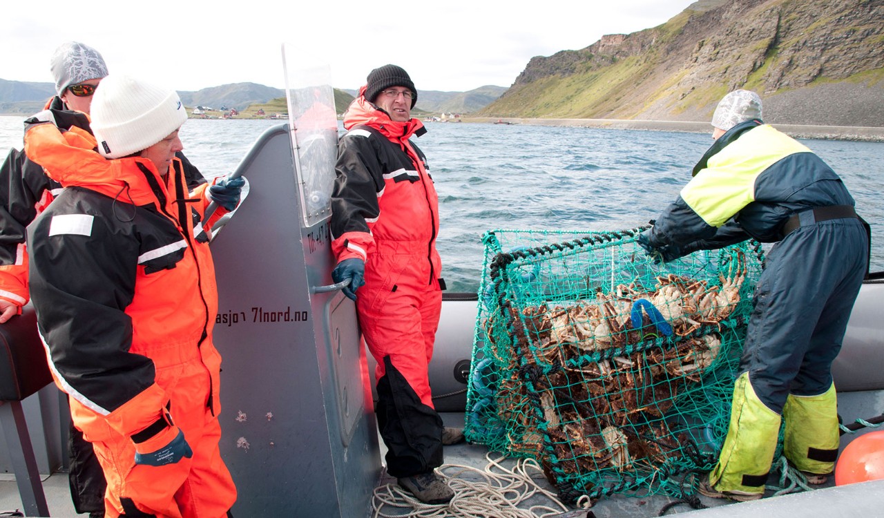 Krabbefiske ved Nordkapp, Magerøya, Finnmark. Crab fishing on the North Cape, Finnmark.