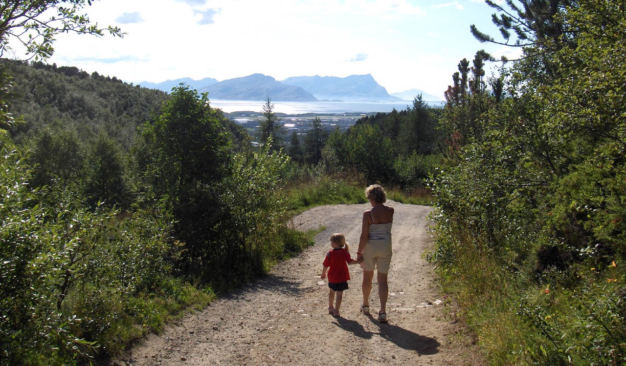 Grusvei, hav, fjell og skog i Bodømarka. Road in the forest with view of Bodø.