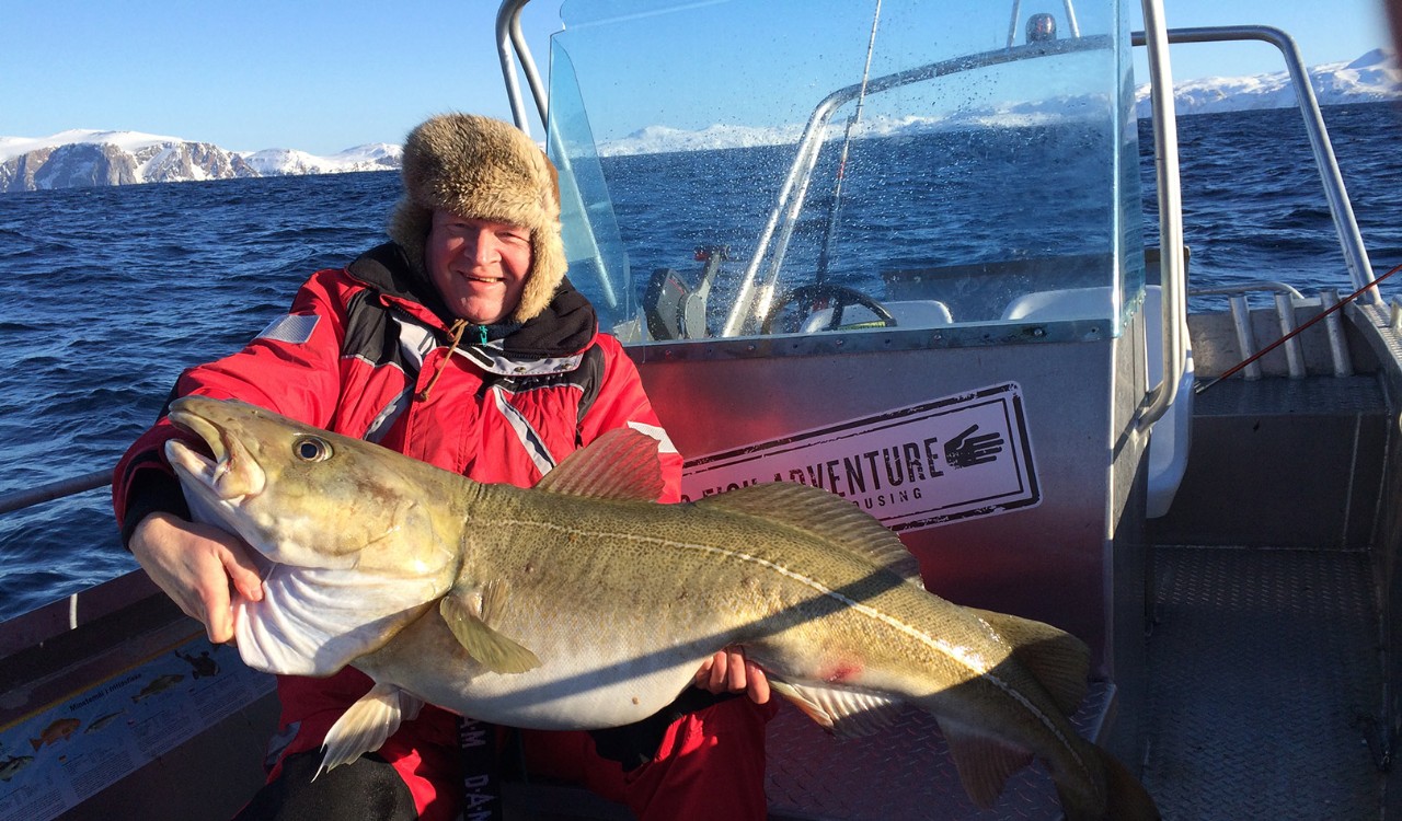 Mann holder en stor skrei på skreifiske utenfor Sørøya i Finnmark. Man holding a big codfish on a boat while Spring cod fishing on Sørøya, Finnmark.