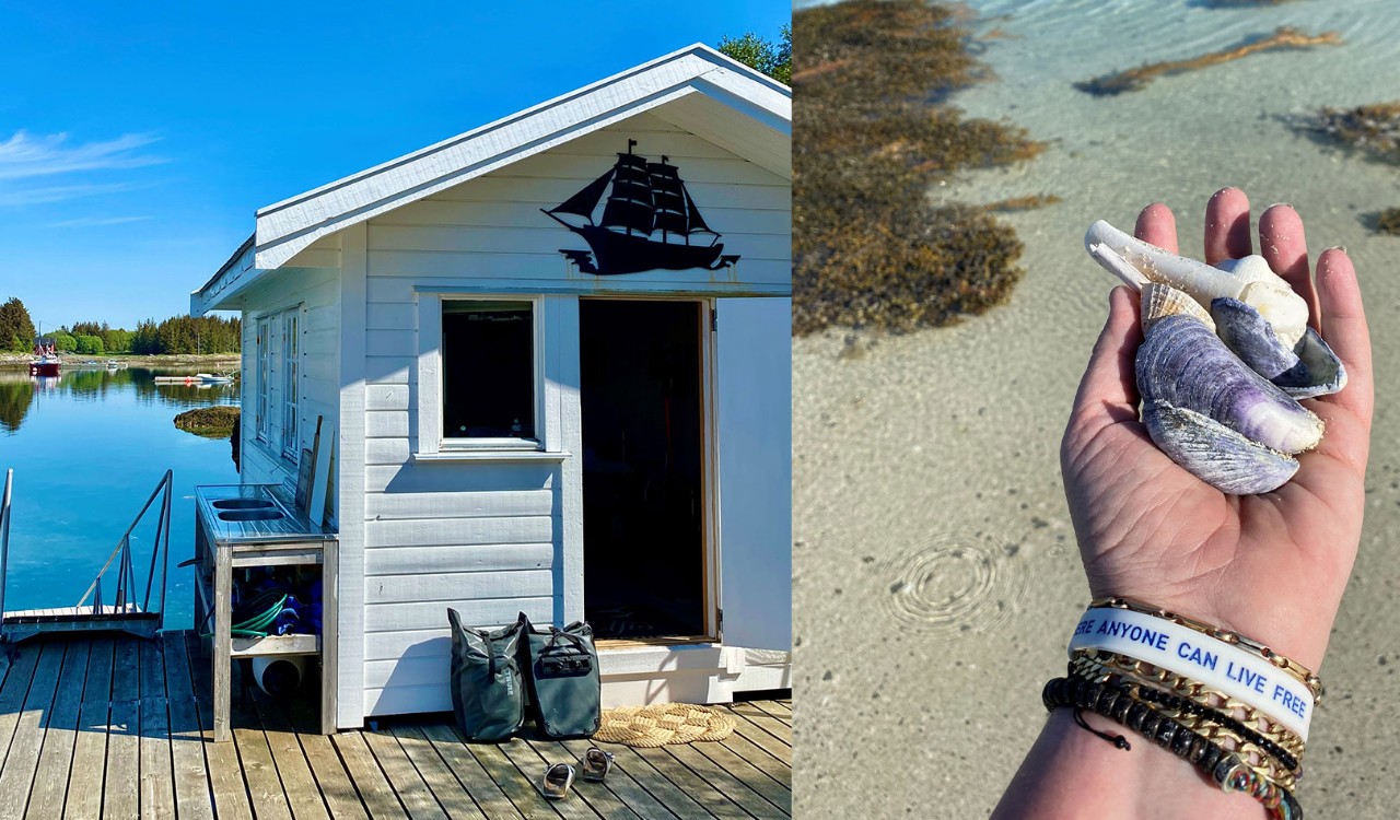 Kaiastua og skjell på Herøy