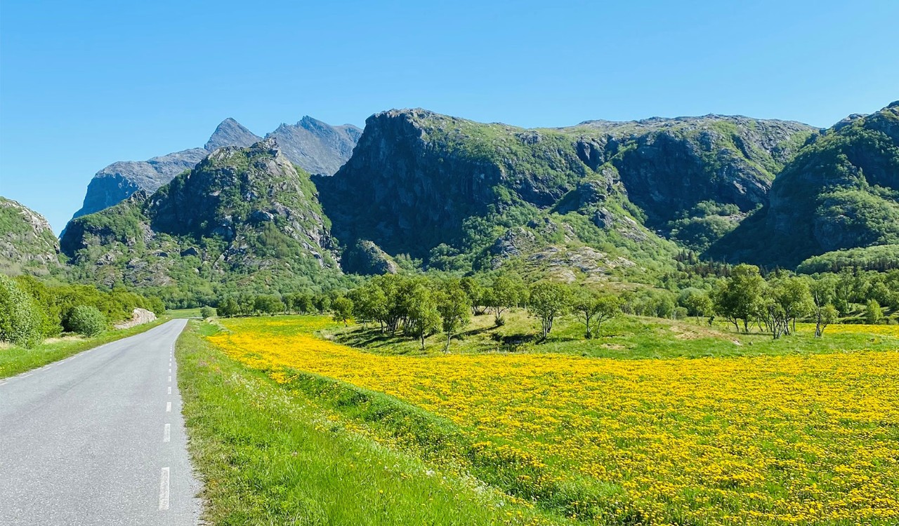 Dønna med fjellet Dønnamannen i bakgrunnen.