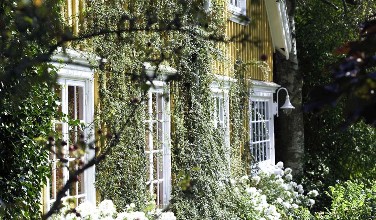 Vegg med blomster og eføy. Wall with flowers and ivy. 