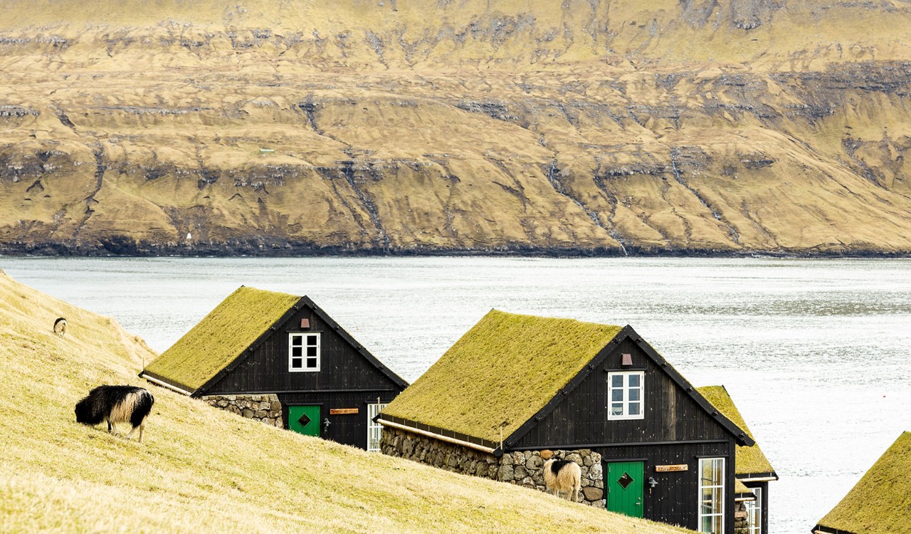 Fotogene hus