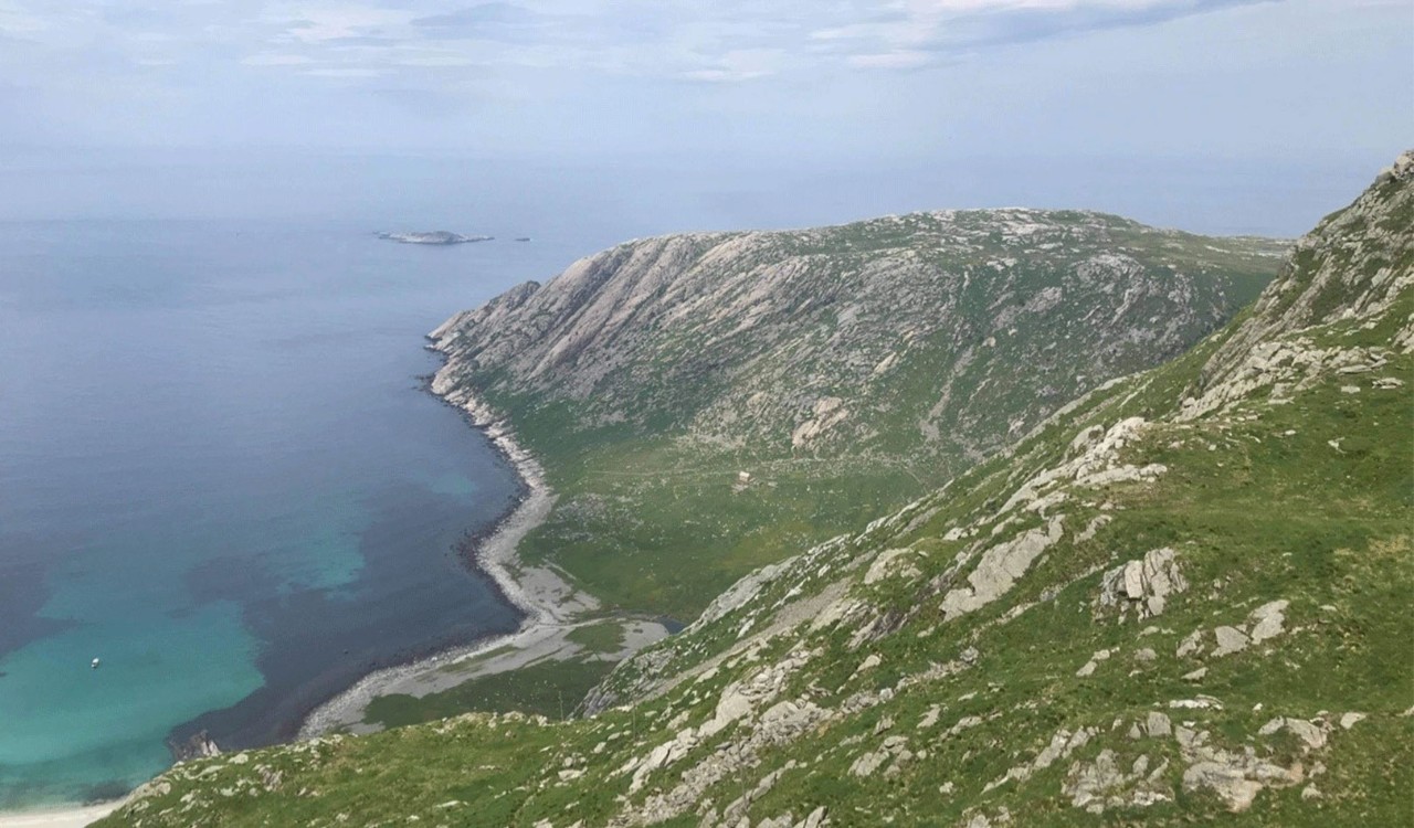  Vetvika