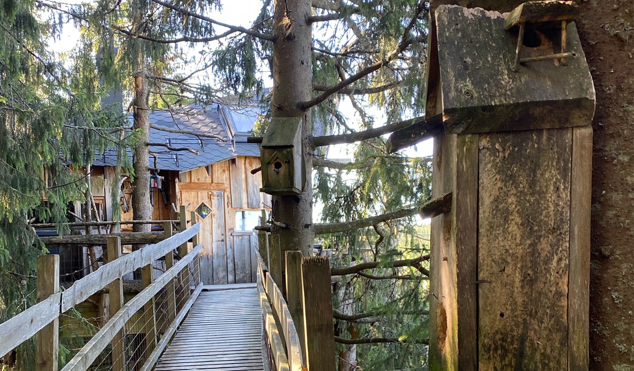 Tretopphytte i Brummundal