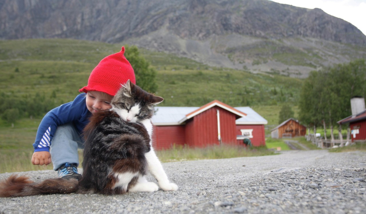 Et barn og en katt utenfor et gårdsbruk. A toddler and a cat cuddling outside a farm.